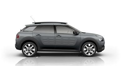 C4 Cactus OneTone Gris Shark nacré